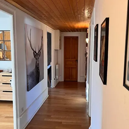 Spacious 125 M Appt In Chamonix-mont-blanc שאמוני