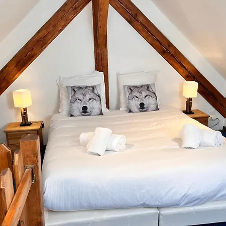 Spacious 125 M Appt In Chamonix-mont-blanc Apartment
